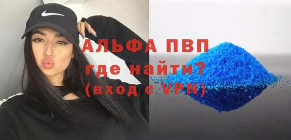 индика Верея