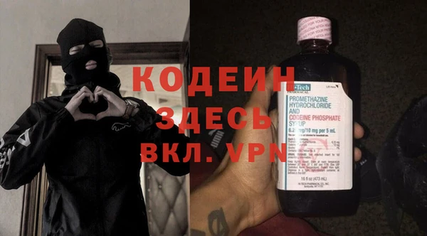 индика Верея