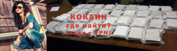 индика Верея