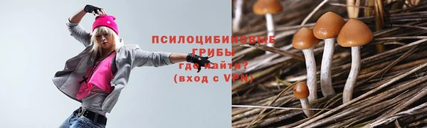 индика Верея