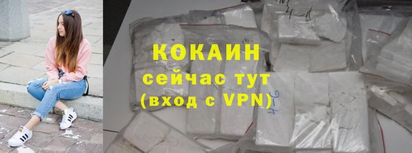 индика Верея