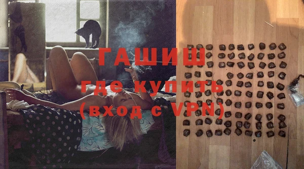 мдпв Бородино