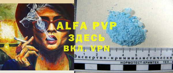 индика Верея