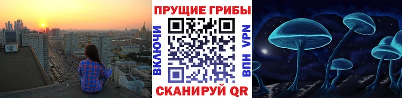 Галлюциногенные грибы мухоморы  Гулькевичи 